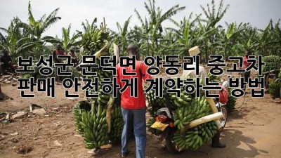 보성군 문덕면 양동리 중고차 판매, 안전하게 계약하는 방법